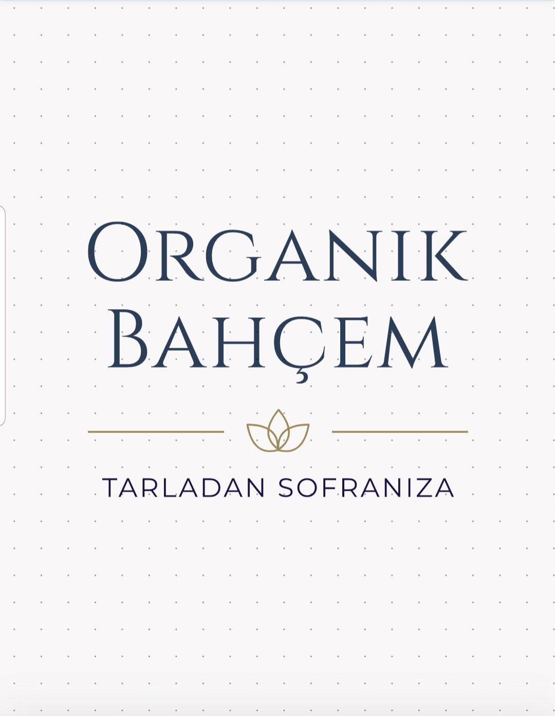 Shop Banner