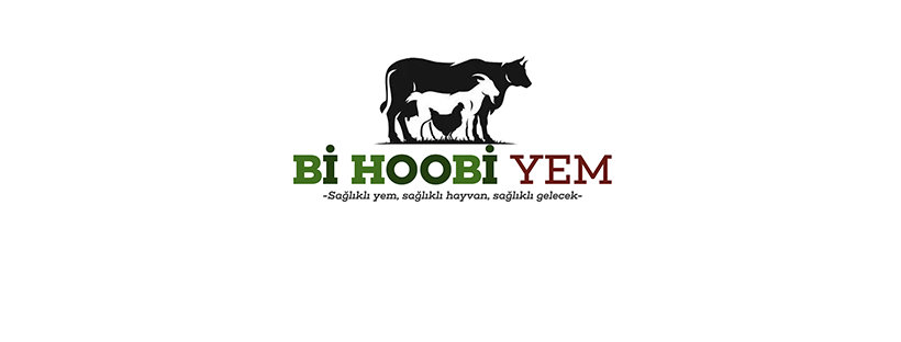 Shop Banner
