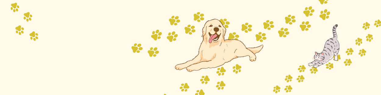 Shop Banner