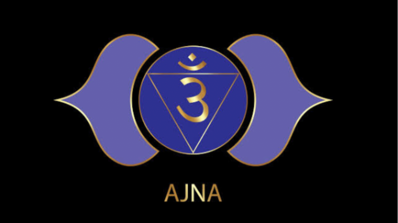 Shop Banner