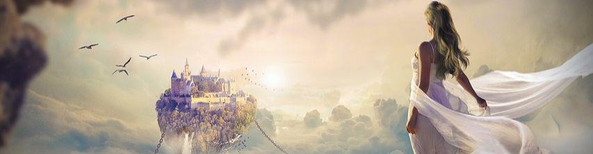 Shop Banner