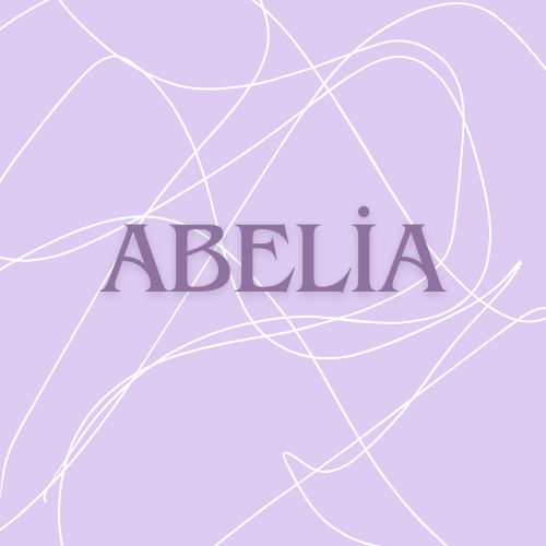 Shop Banner