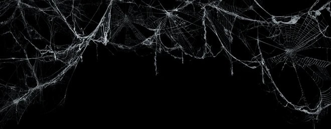 Shop Banner