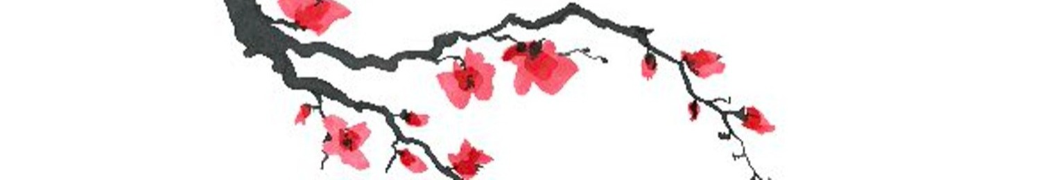 Shop Banner
