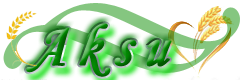 Shop Banner