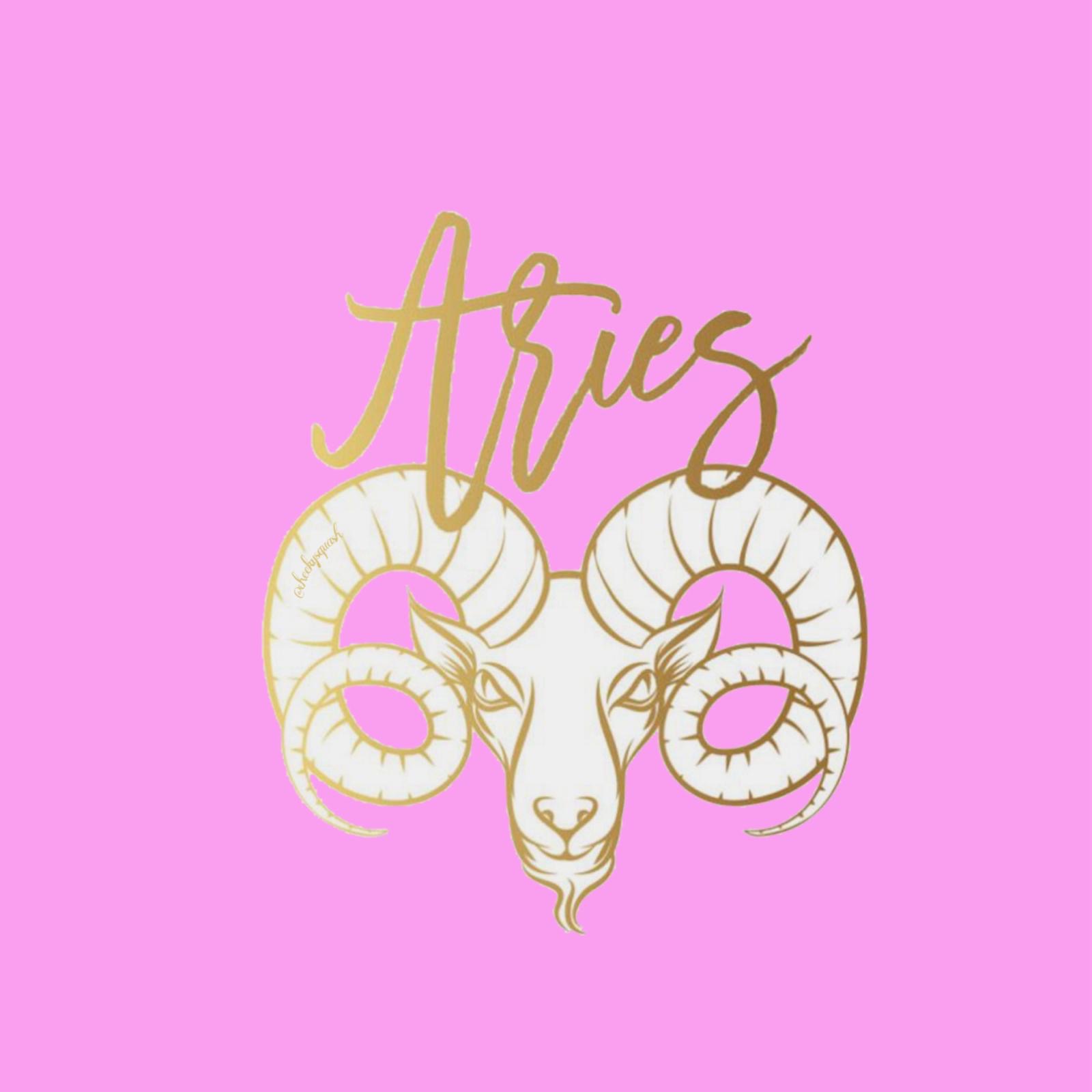 Shop Banner