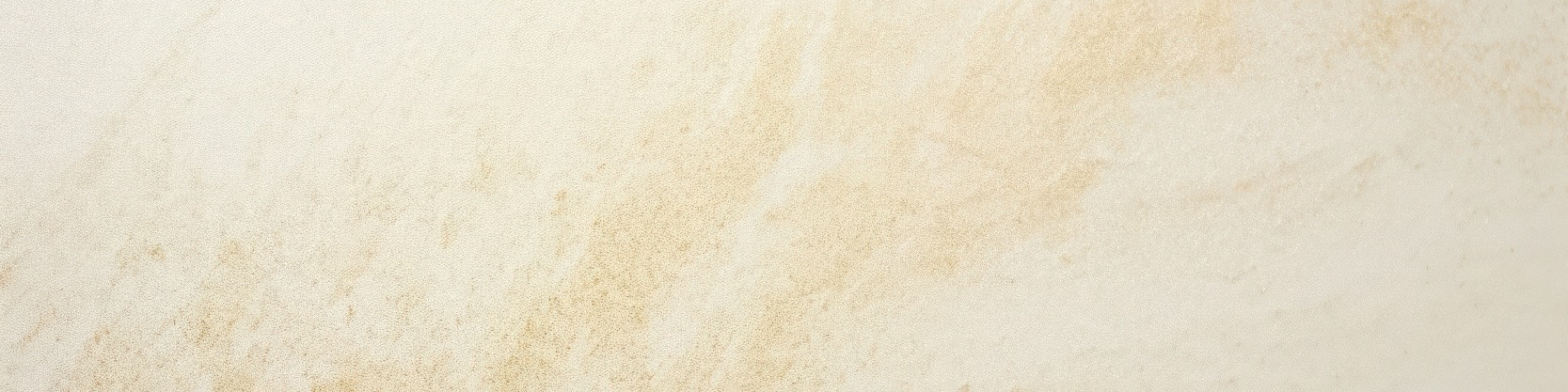 Shop Banner
