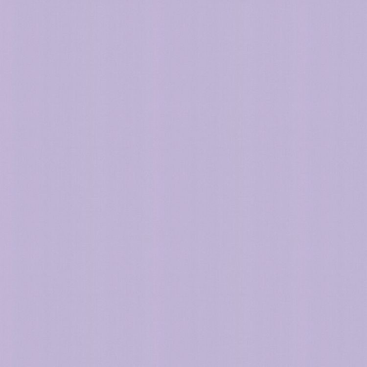 Shop Banner