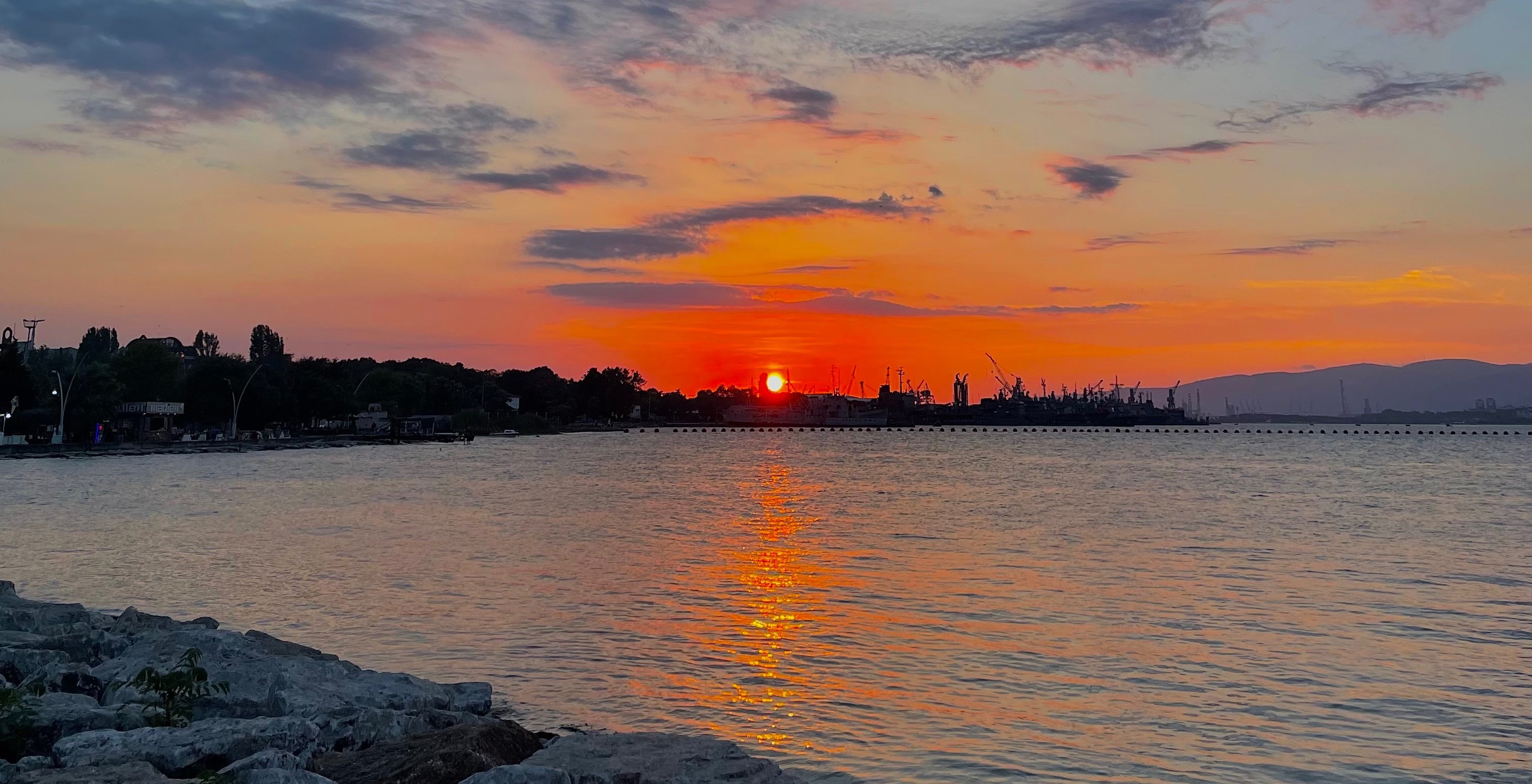 Shop Banner