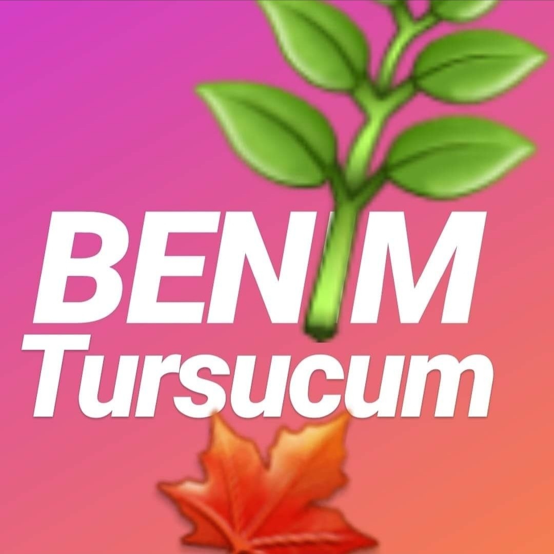 Shop Banner