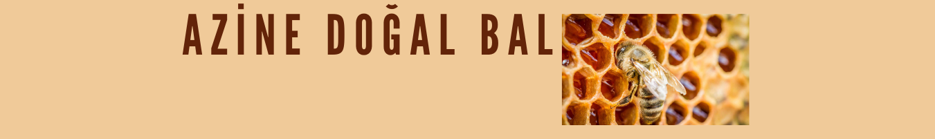 Shop Banner