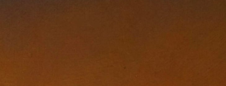 Shop Banner