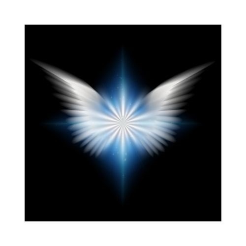 Shop Banner