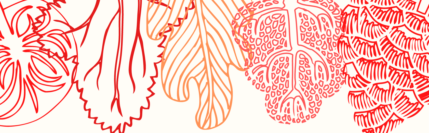 Shop Banner