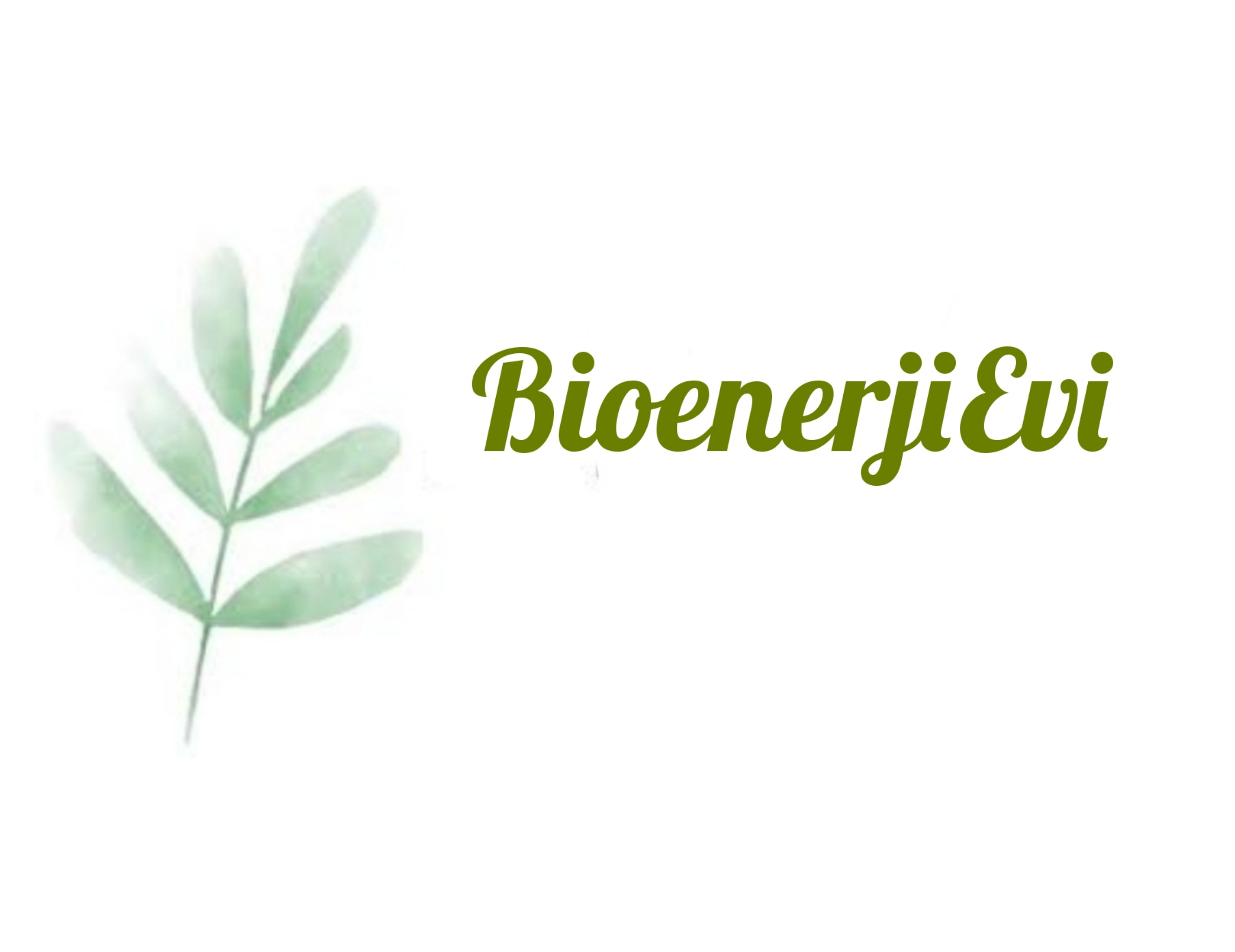 Shop Banner