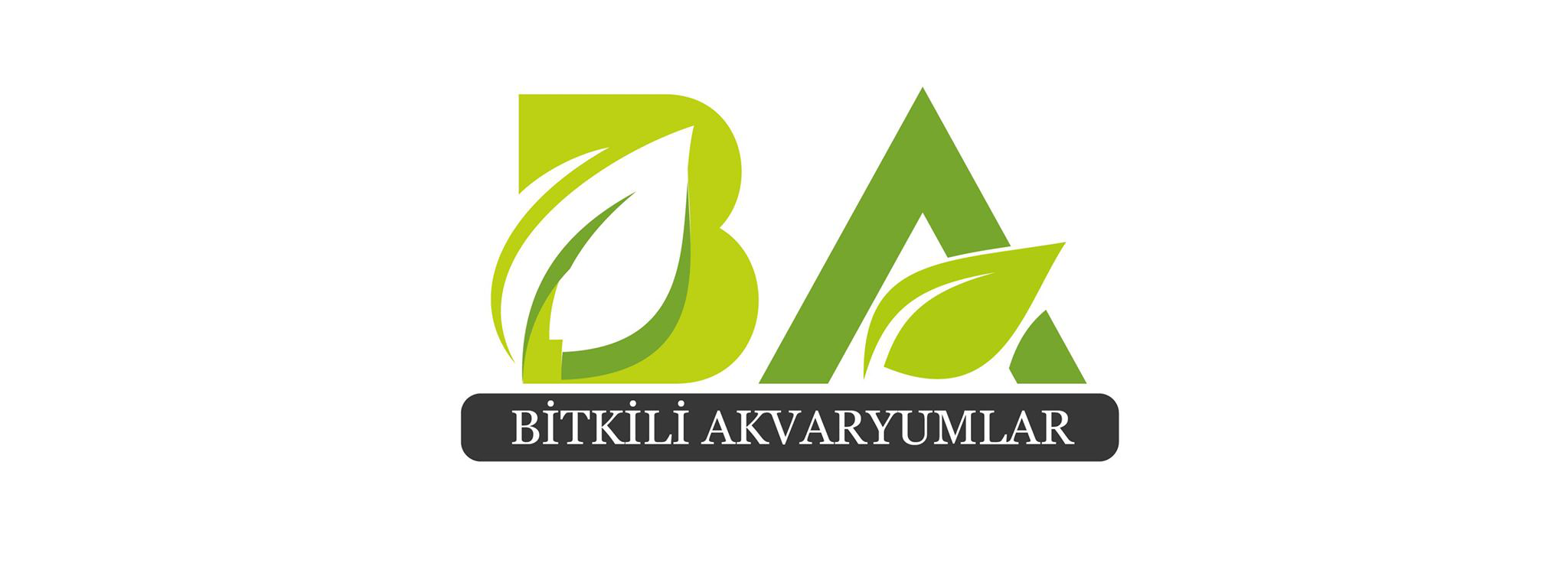 Shop Banner
