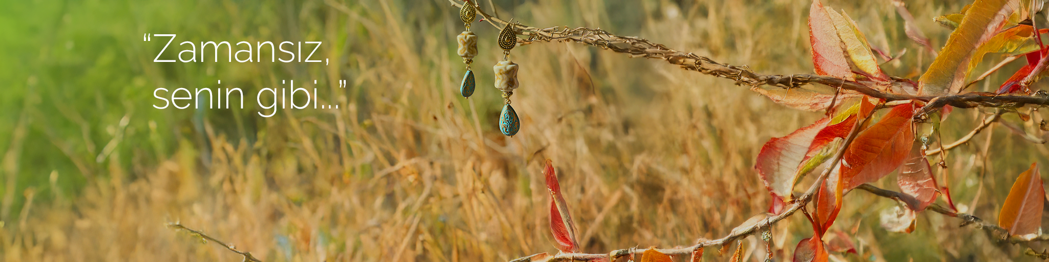 Shop Banner