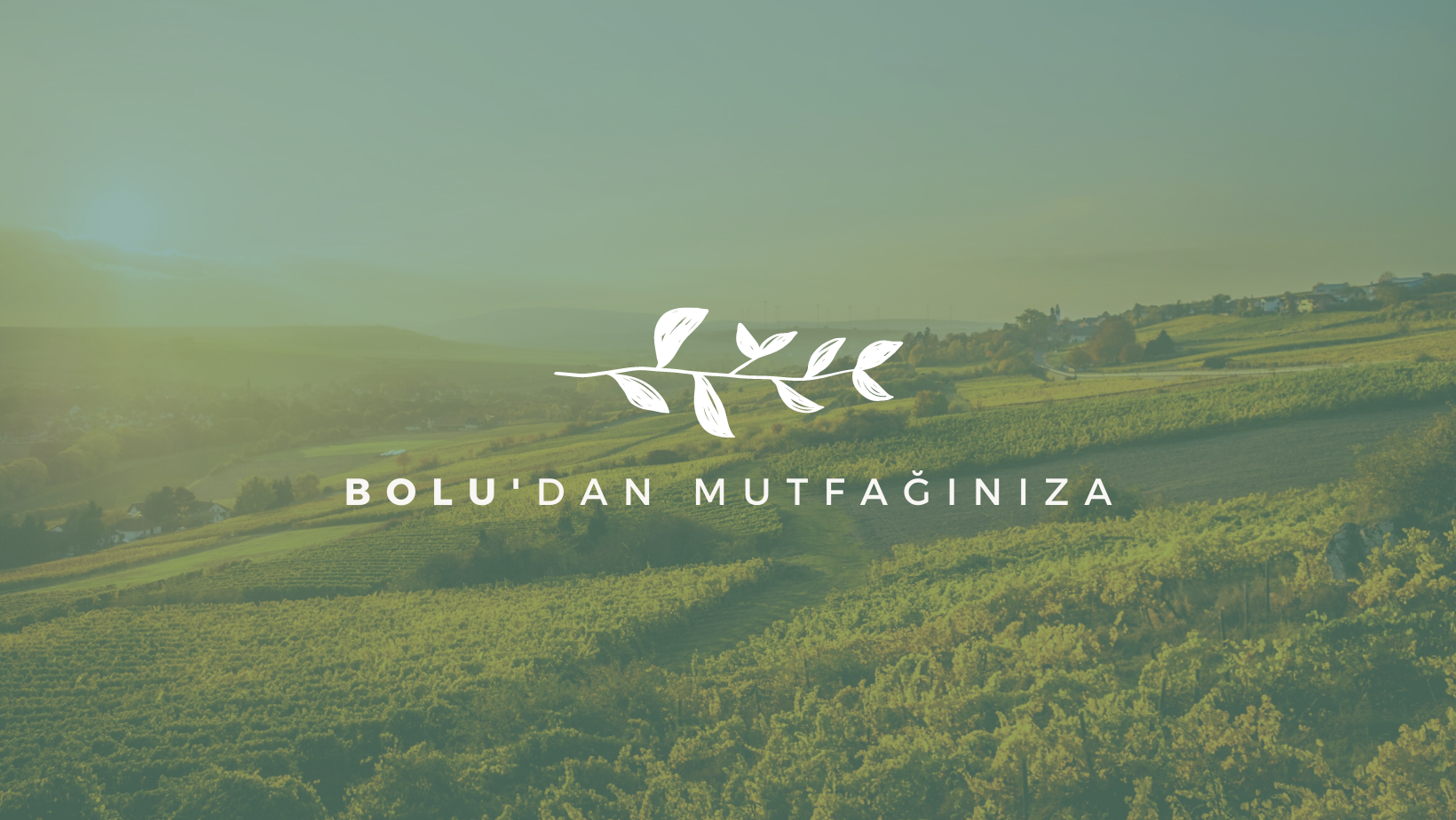 Shop Banner