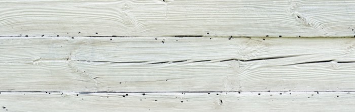 Shop Banner