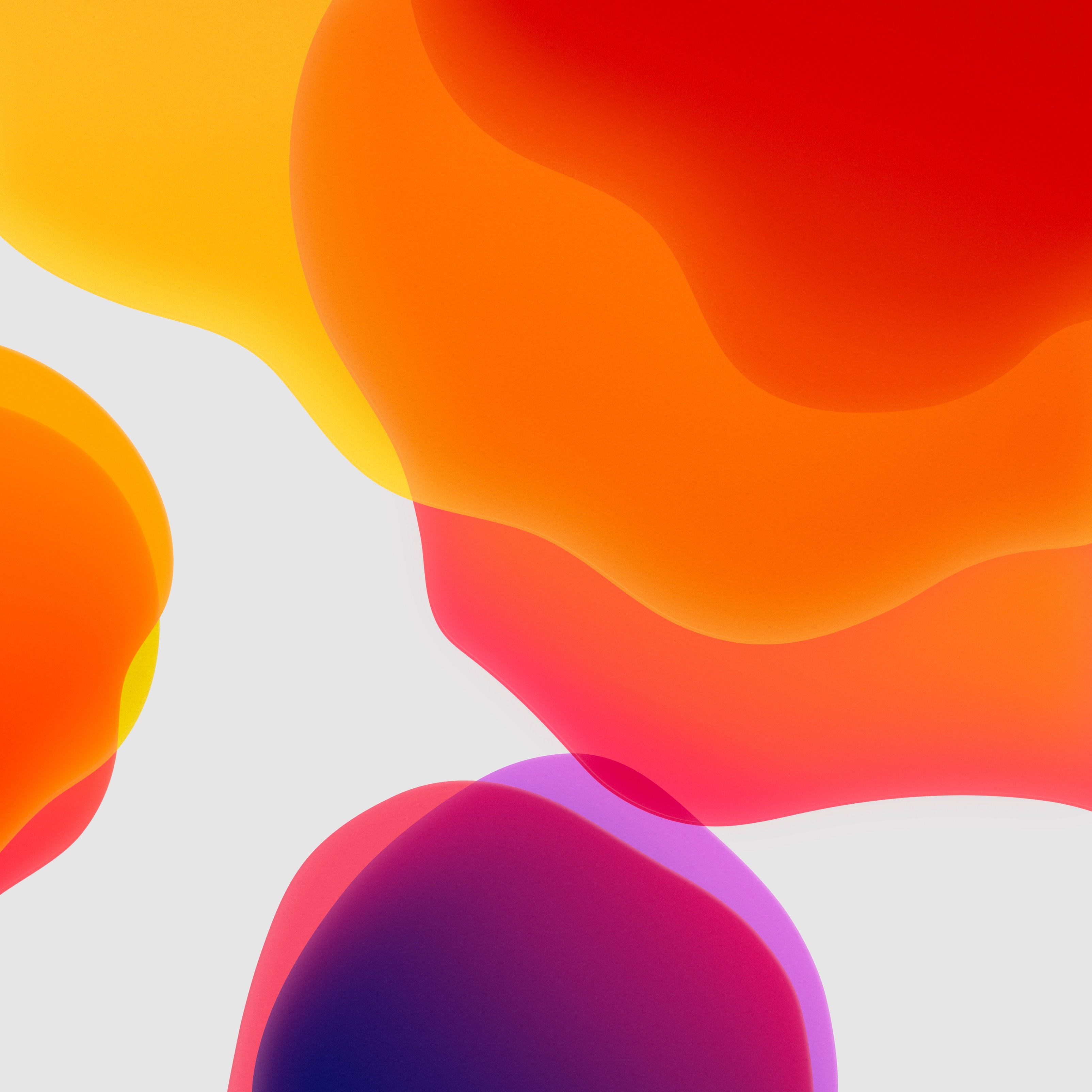 Shop Banner