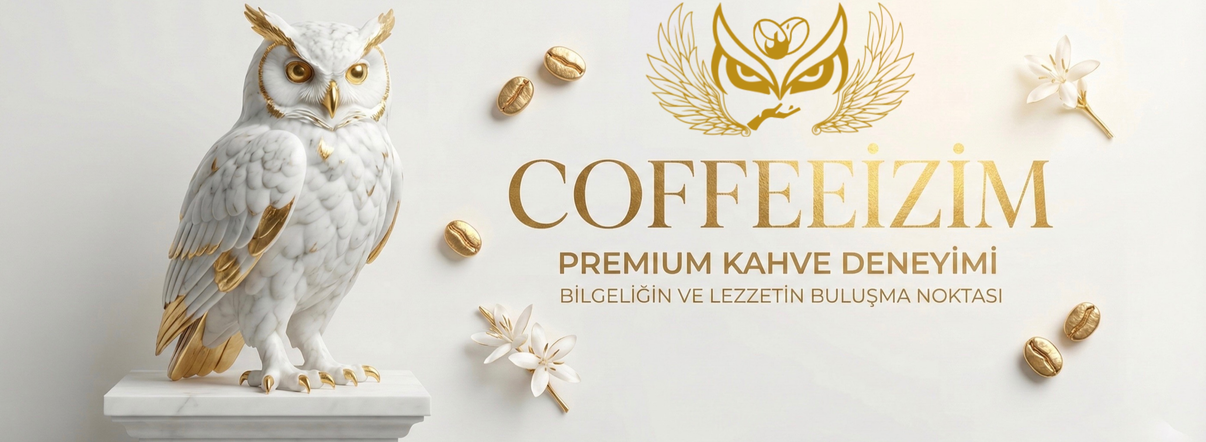 Shop Banner