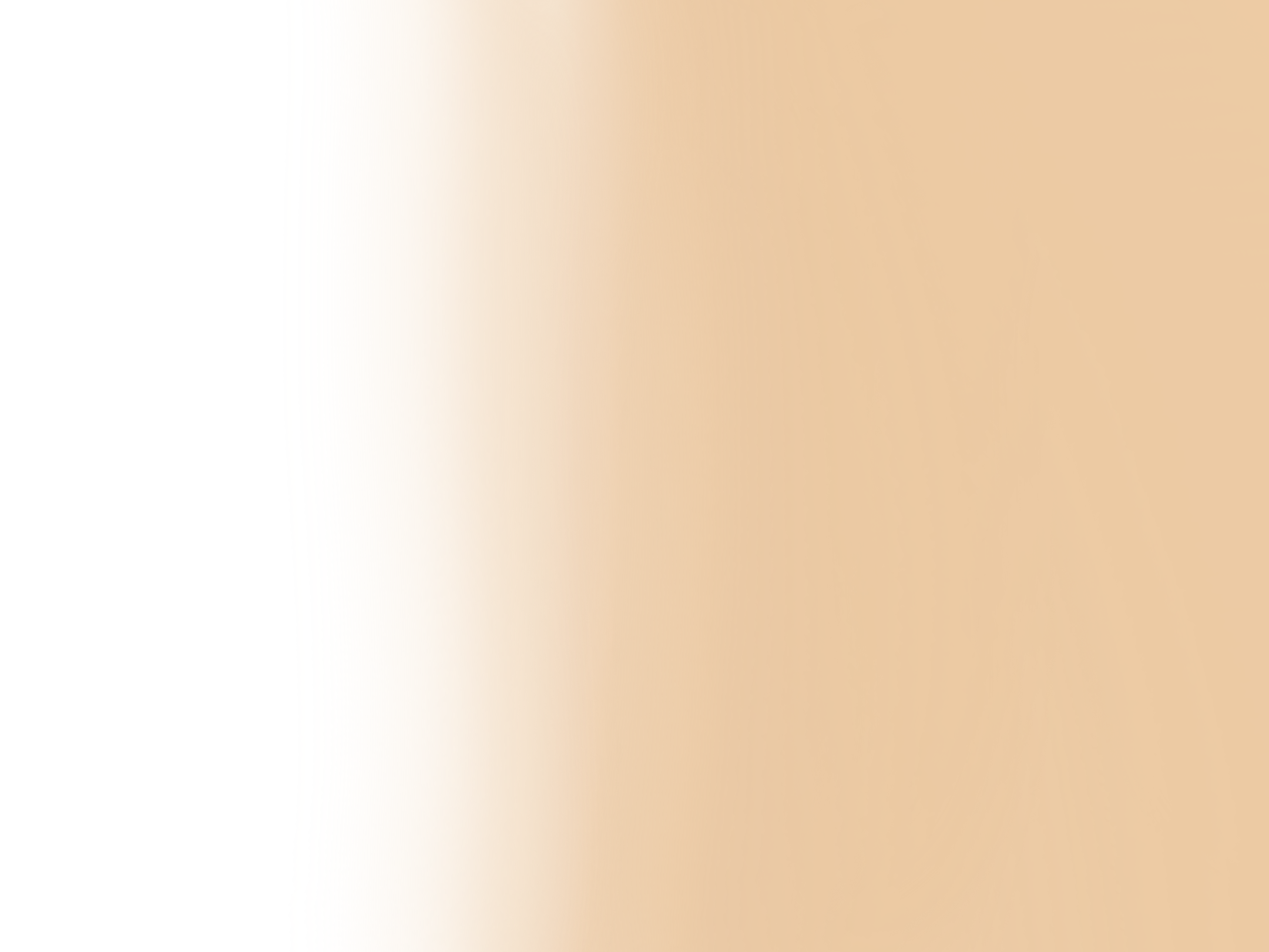 Shop Banner