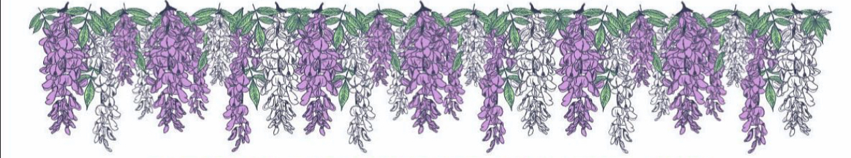 Shop Banner