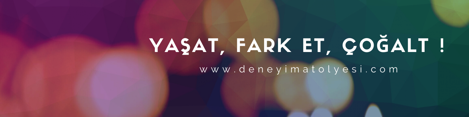 Shop Banner