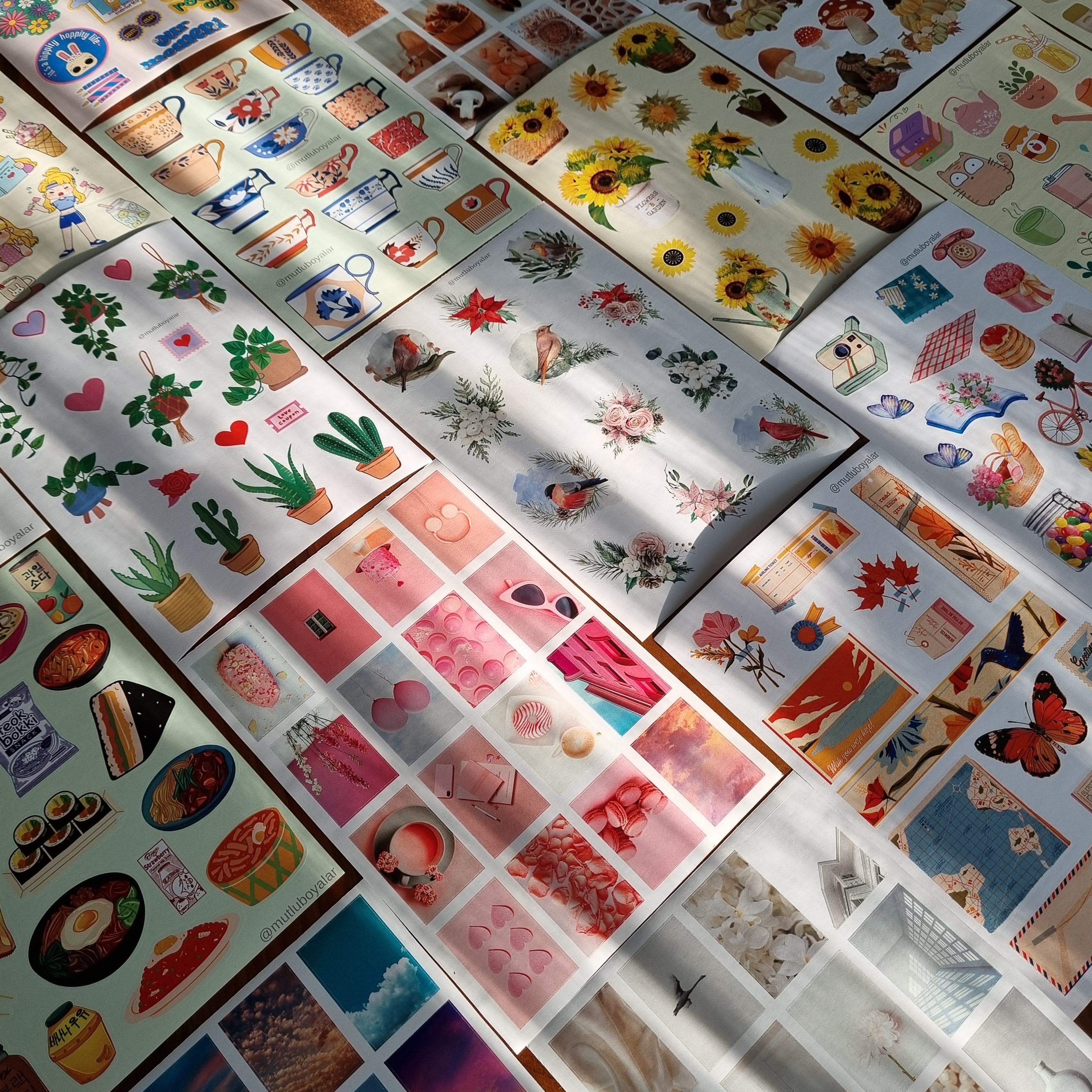 Shop Banner