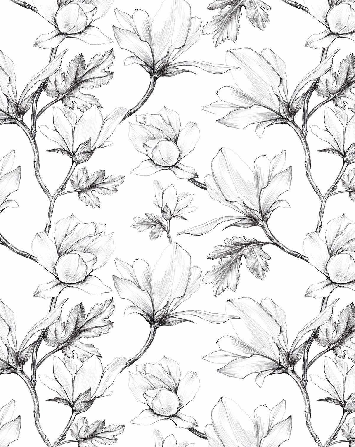 Shop Banner