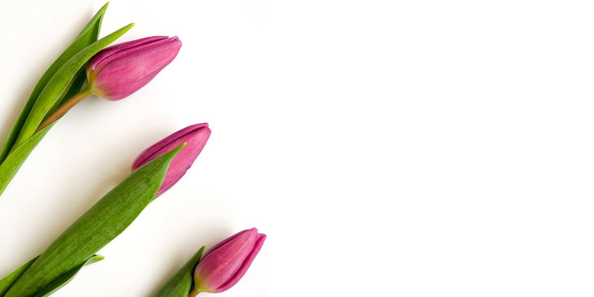 Shop Banner