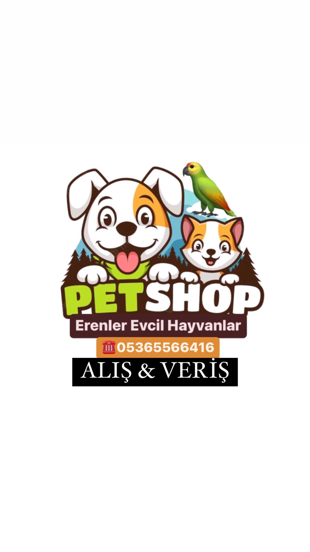 Shop Banner