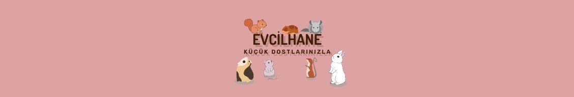 Shop Banner