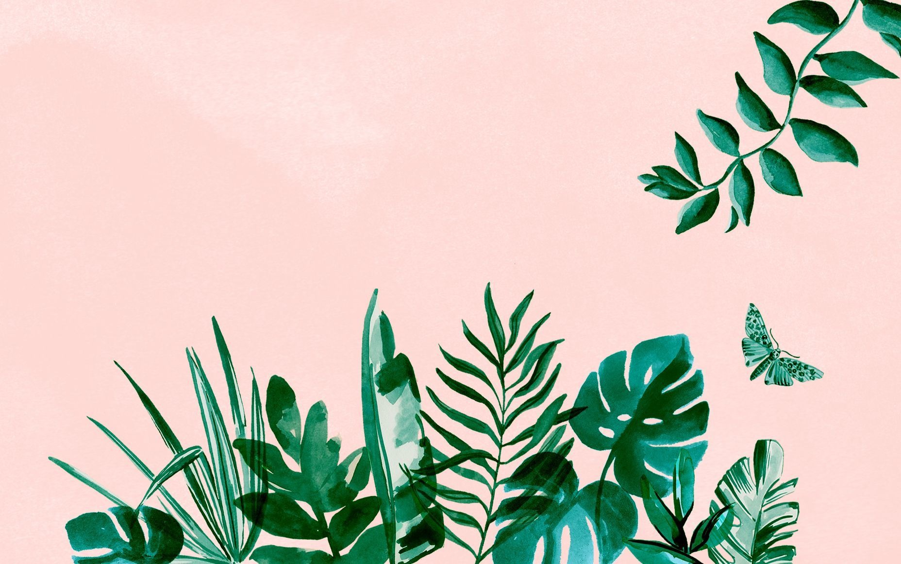 Shop Banner