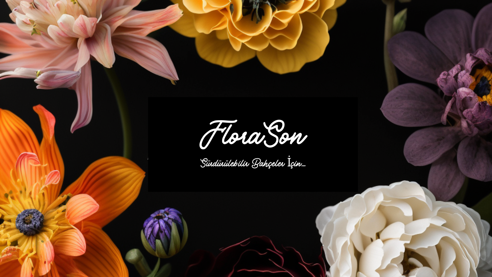 Shop Banner