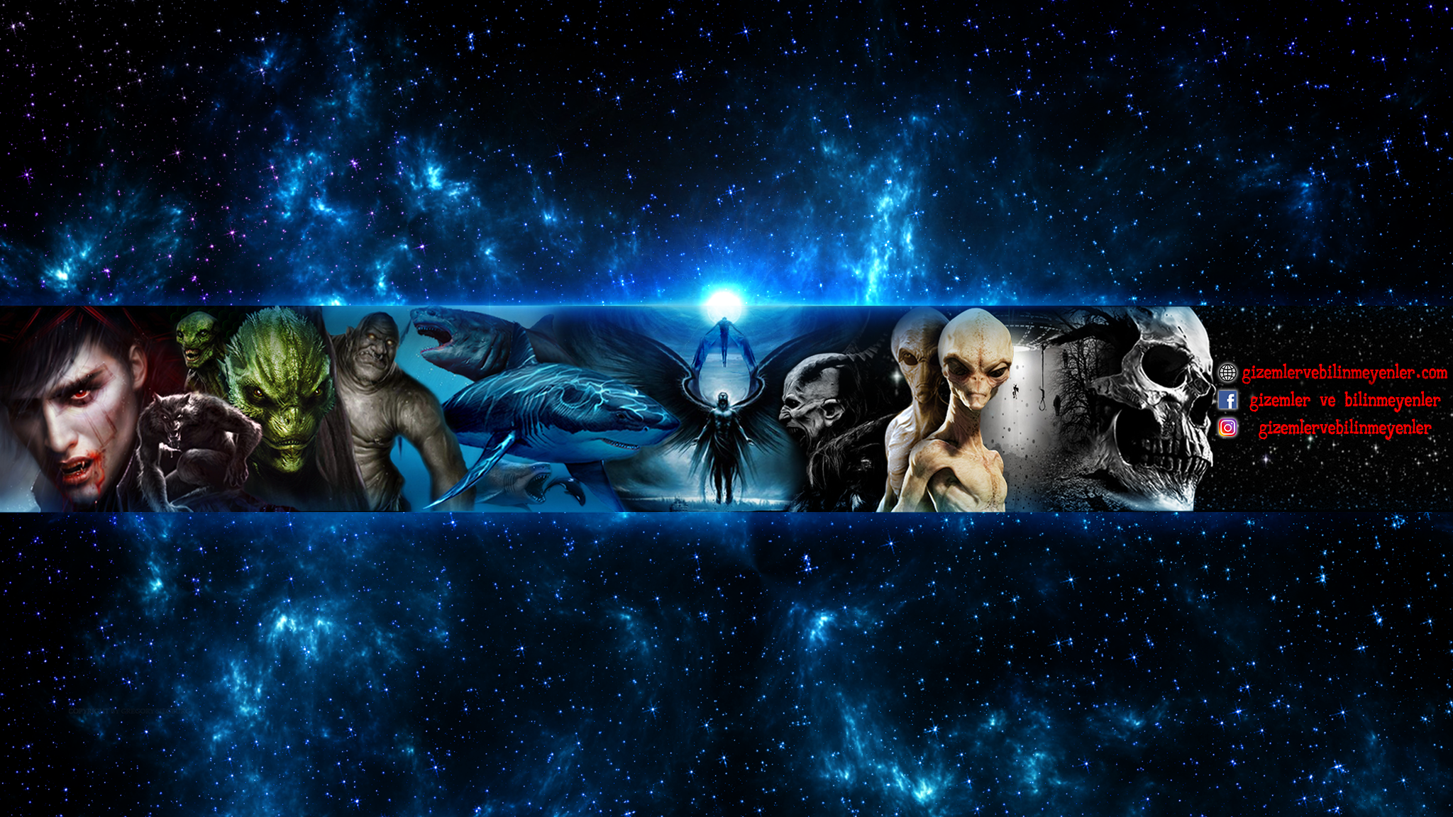 Shop Banner