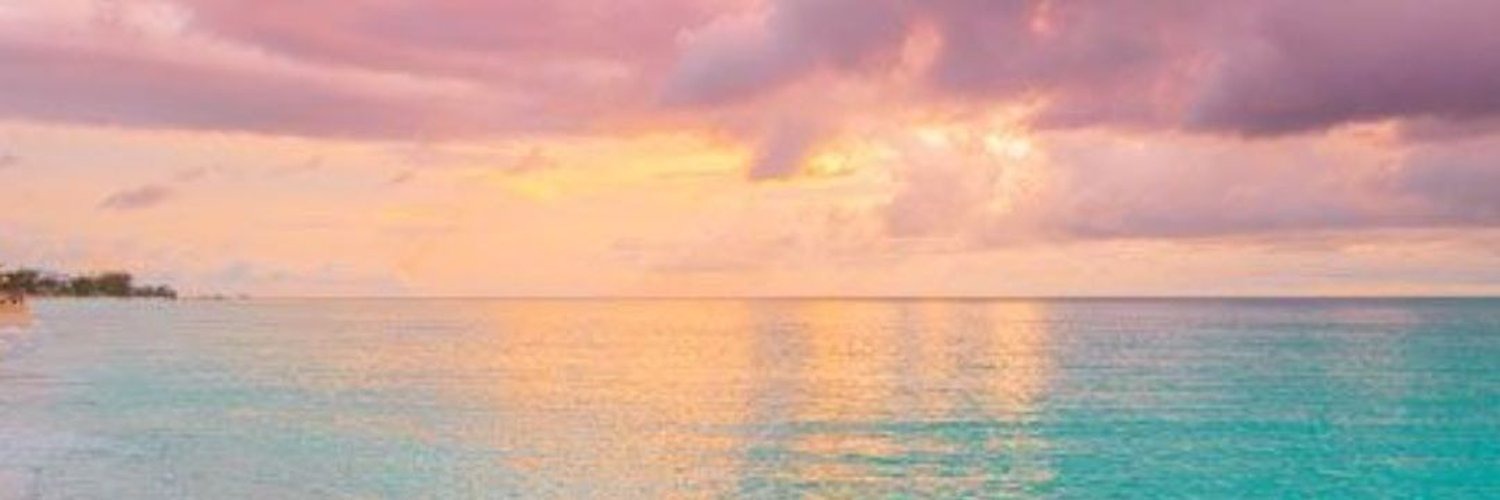 Shop Banner