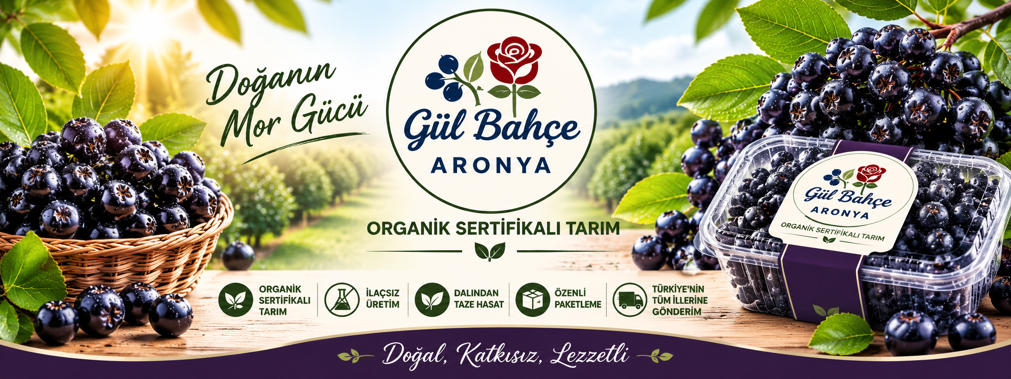 Shop Banner