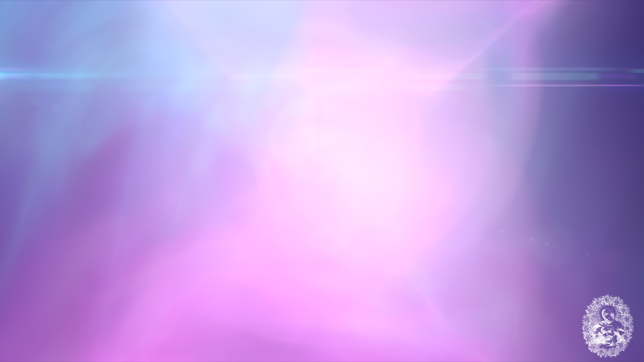 Shop Banner