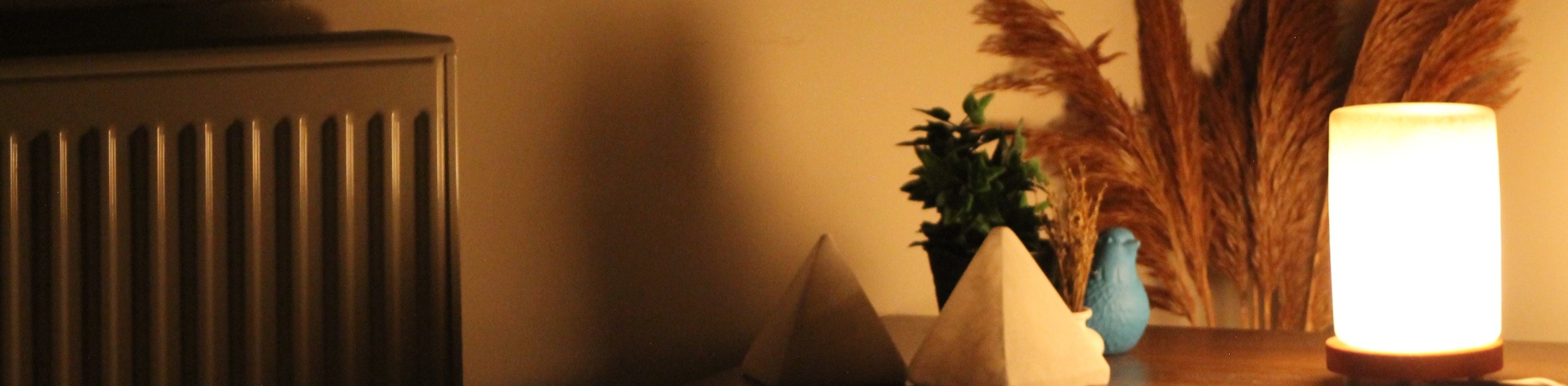 Shop Banner