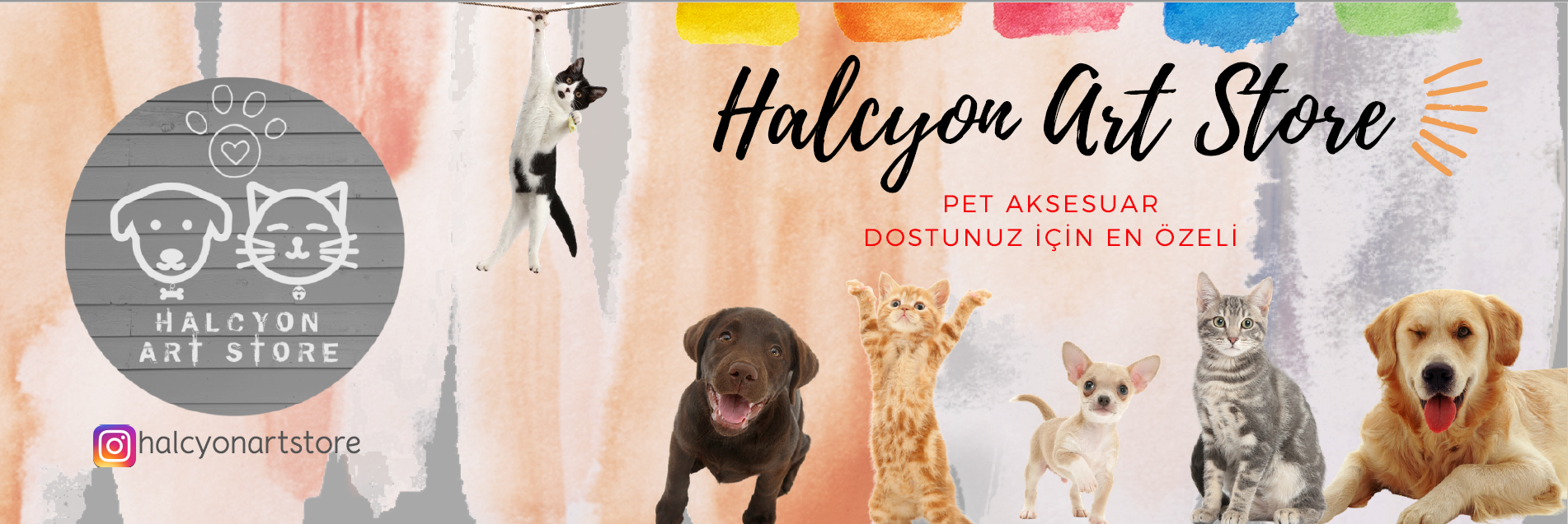 Shop Banner