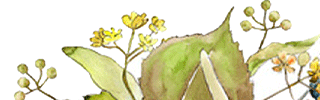 Shop Banner