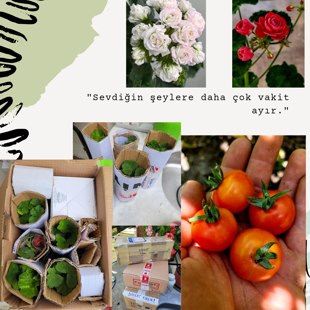 Shop Banner