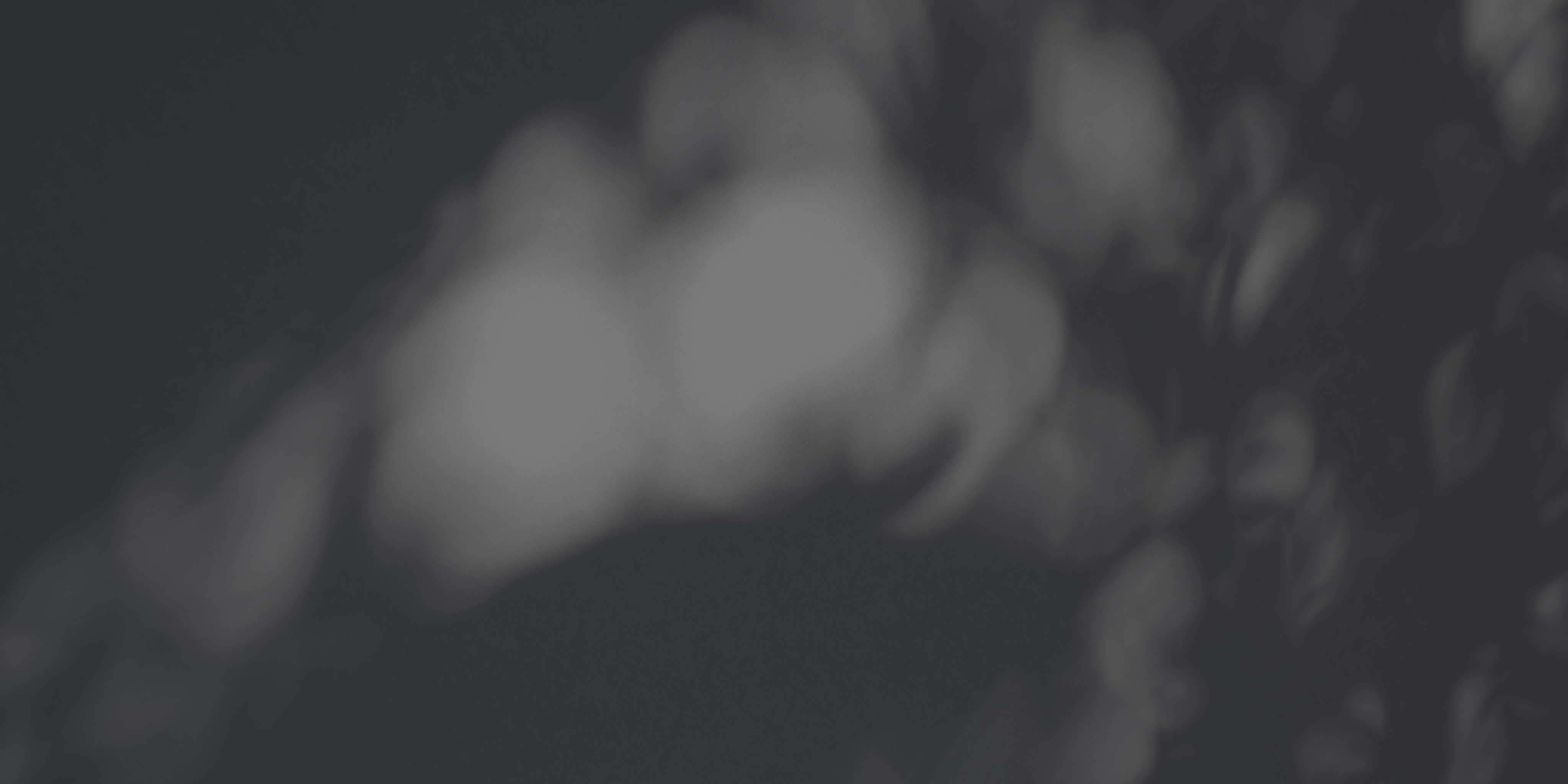 Shop Banner