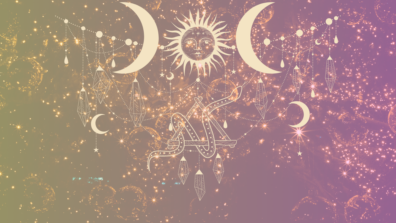 Shop Banner