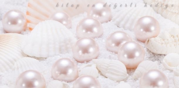 Shop Banner
