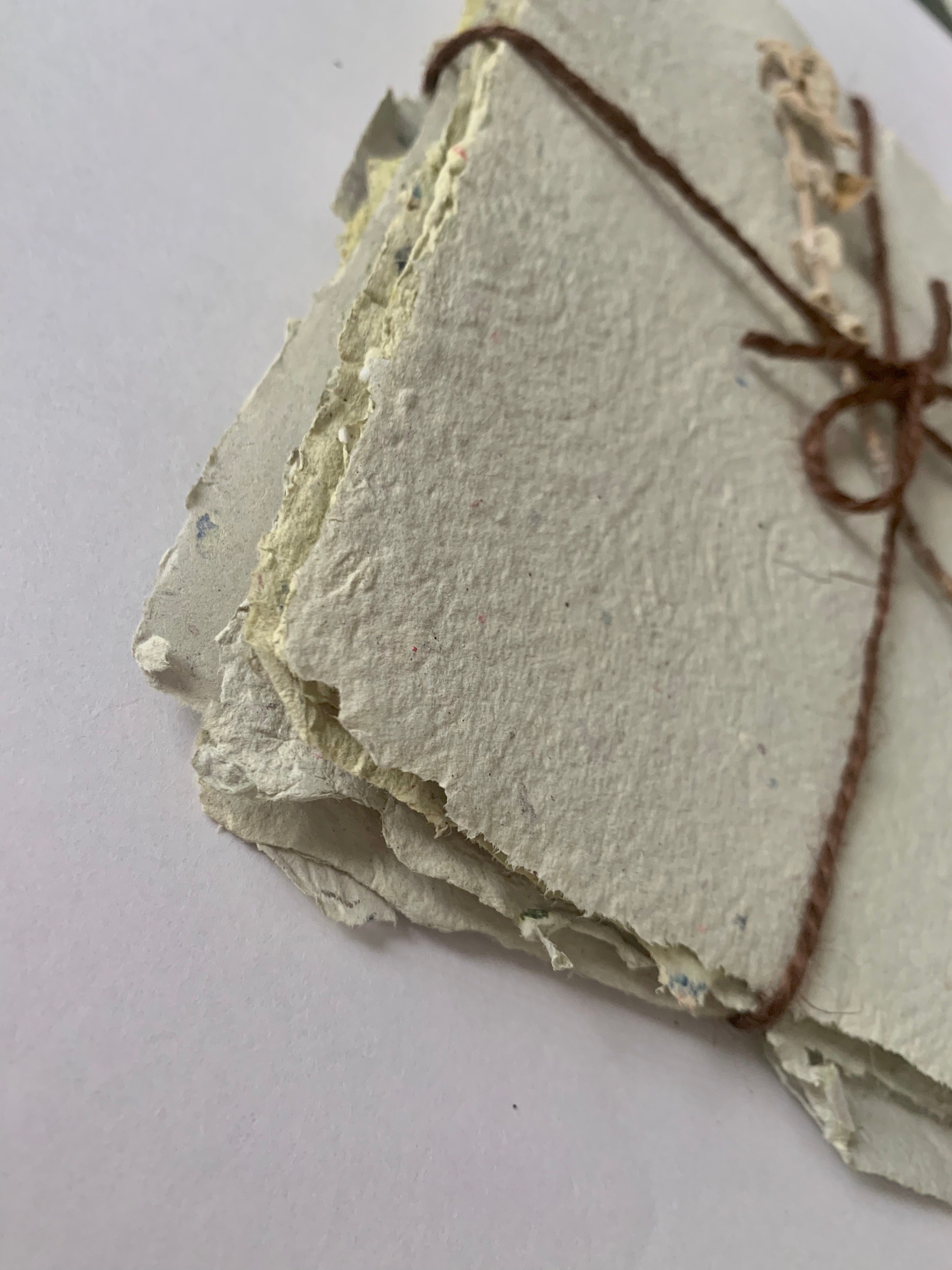 Shop Banner
