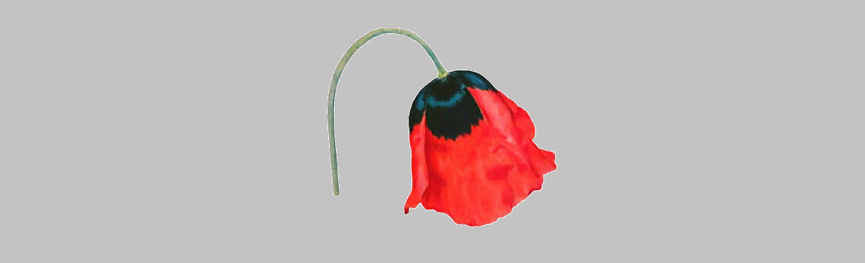 Shop Banner