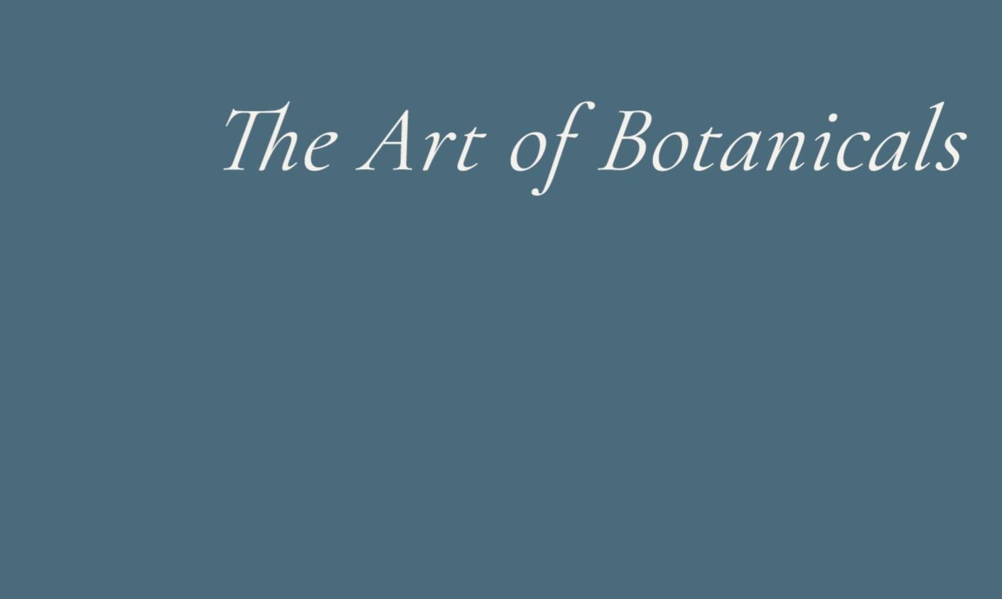Shop Banner