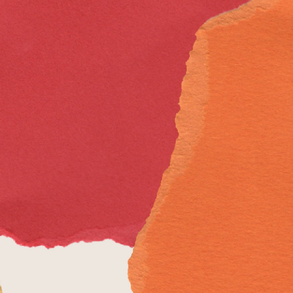 Shop Banner